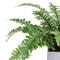 13" Artificial Boston Fern In Stone Look Paper Maché Pot